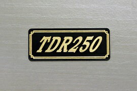 E-520-3 TDR250 / ꥸʥ륹ƥå  ơ륫  ɥС  ӥ˥ åȥ ե ꡼ 󥰥   YAMAHA ޥ TDR250