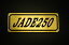 E-388-1 JADE250 / ꥸʥ륹ƥå  ơ륫  ɥС  ӥ˥ ֥ ǥ 󥰥 ե ꡼ ե쥹  HONDA ۥ 250