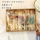 送料無料 プリザーブドフラワー 5本セット 5本入 永遠の花 永生花 枯れない花 バラ ギフト 薔薇 ローズ プレゼント ガラスポット ドライフラワー ボックス...