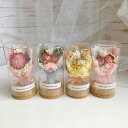 送料無料 カーネーション プリザーブドフラワー 永遠の花 花束 枯れない花 バラ ギフト 薔薇 ローズ プレゼント ガラスポット 卒業式 母の日 成人式 結婚祝...