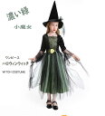 コスチューム ハロウィン衣装 ステージ衣装 セット 帽子 ドレス グリーン 濃い緑 メッシュ ツバキの花 スパイダー ロングドレス ワンピース 子供 女の子 妖...