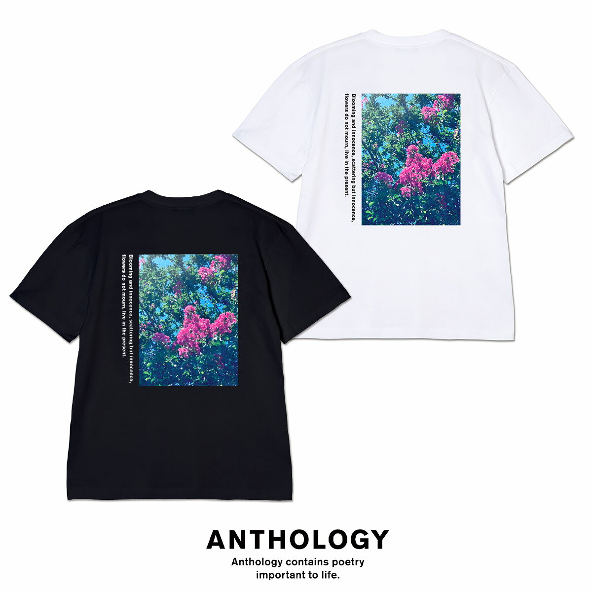 Rakuten - Tシャツ レディース メンズ ユニセックス ANTHOLOGY アンソロジー Flower Bloom T-Shirt 26AW-02 バックプリント トップス 男女兼用 新着商品