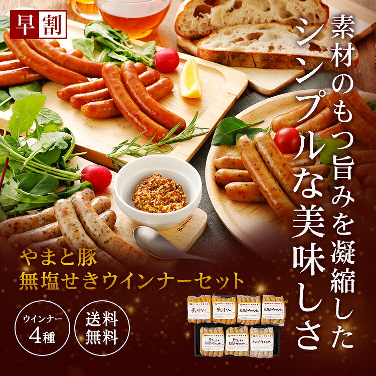 ウインナー 詰め合わせ ギフト 無塩せき NSG-C | 送料無料 バレンタイン チョコ以外 ギフトセット 内祝い 出産 お返し 結婚 食品グルメ 誕生日 肉 無添加 ソーセージ ウィンナー お取り寄せグルメ ハム ウインナーギフト 食品 ハムソーセージ 豚肉 食べ物 冬ギフト 退職 お礼格安通販　バレンタイン　人気　ランキング
