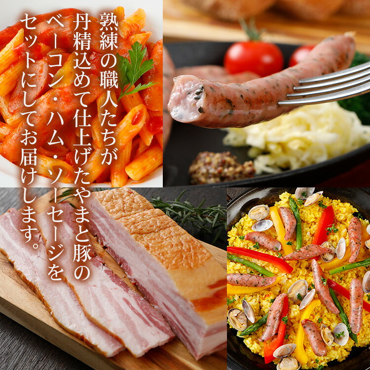 選りすぐりセット 匠 ギフト 805 | [冷蔵] 送料無料 ハム お中元 早割 御中元 食品 食べ物 プレゼント おつまみ 肉 グルメ お祝い お取り寄せグルメ 高級 ロースハム ロースハム 原木 ベーコン ウインナー ブロックソーセージ 詰め合わせ お返し 内祝 後払 可能 frieden-10000580 豚肉専門店 やまと豚のフリーデン サンプル画像3