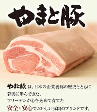 やまと豚ステーキ(ロース厚切り)200g(冷凍)味付け肉|やまと豚味付け肉肉お肉冷凍豚肉国産惣菜ロースお惣菜グルメトンテキ冷凍食品厚切り豚ロースステーキ肉ステーキ用冷凍総菜家庭用とんてき味付き総菜おかず食品・フードブランド豚人気