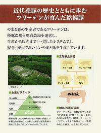 やまと豚ステーキ(ロース厚切り)200g(冷凍)味付け肉|やまと豚味付け肉肉お肉冷凍豚肉国産惣菜ロースお惣菜グルメトンテキ冷凍食品厚切り豚ロースステーキ肉ステーキ用冷凍総菜家庭用とんてき味付き総菜おかず食品・フードブランド豚人気