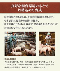 やまと豚ステーキ(ロース厚切り)200g(冷凍)味付け肉|やまと豚味付け肉肉お肉冷凍豚肉国産惣菜ロースお惣菜グルメトンテキ冷凍食品厚切り豚ロースステーキ肉ステーキ用冷凍総菜家庭用とんてき味付き総菜おかず食品・フードブランド豚人気