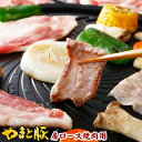 国産 やまと豚 肩ロース 焼肉用 500g | 豚肉 肉 やまと 豚 ブタ ぶた お肉 にく bbq バーベキュー 豚肩ロース 肩 ロース 後払い 可能 商品 食品 食べ物 ギフト 取り寄せ お取り寄せ お取り寄せグルメ 内祝い ブランド豚 お肉おいしい 国産豚 国産豚肉 冷凍 お肉の日 bbq