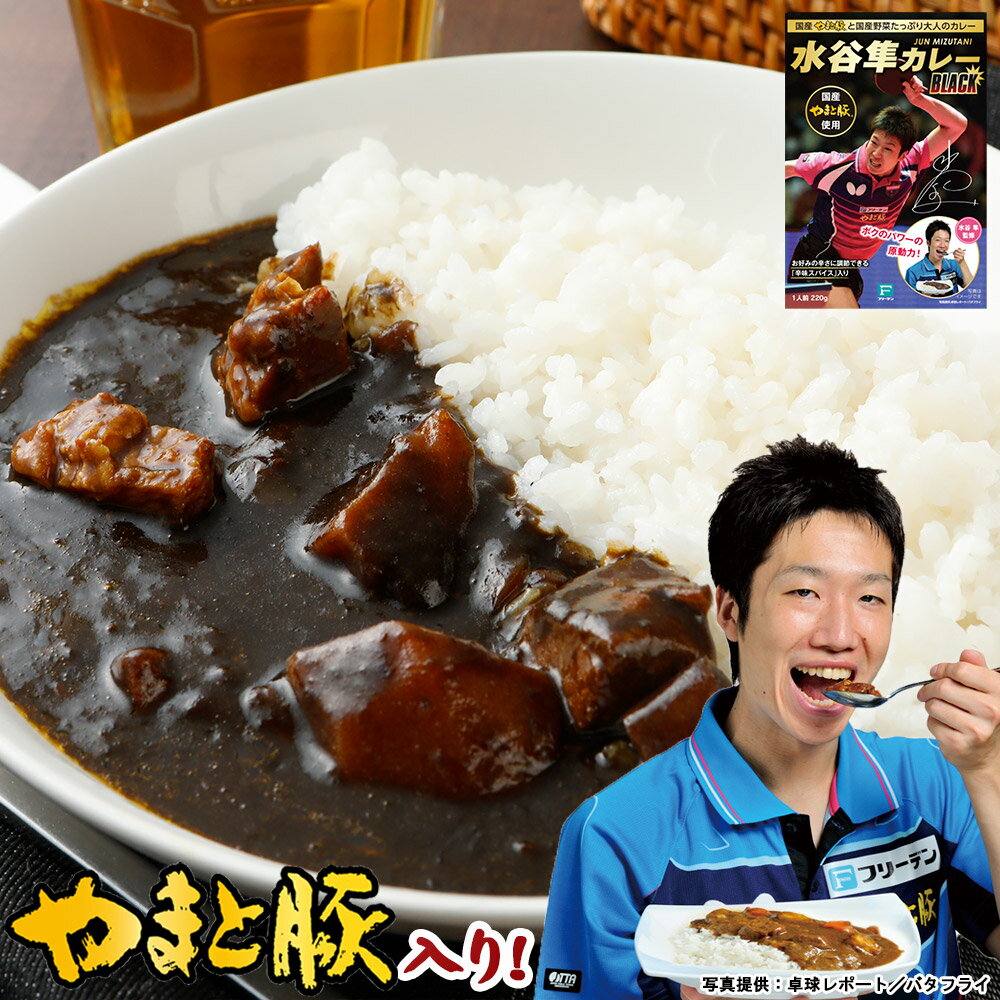 水谷隼カレーブラック 220g | レトルトカレー 辛口 水谷 隼 水谷隼カレー ブラック 化学調味料 無添加 常温保存 レトルト 非常食 保存食 一人暮らし 土産 常温 温めるだけ 長期保存 日持ち ギフト ご飯のお供 食品 お取り寄せ 食べ物 プレゼント 後払い コンビニ 可能 お返し