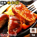 やまと豚 ポーク ハンバーグ 150g(冷凍)| ギフト 肉 豚 冷凍 詰め合わせ 国産 生 ハンバーグセット コンビニ 後払い 決済 可能 お取り寄せグルメ ...
