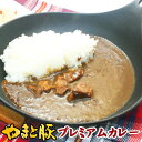 スパイシーカレープレミアム200g | 化学調味料 無添加 ...