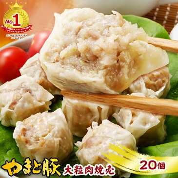 やまと豚 大粒肉焼売600g(20個) | 焼売 しゅうまい シュウマイ 業務用 中華 中華料理 食品 冷凍食品 惣菜 おかず 中華惣菜 おつまみセット お取り寄せグルメ グルメ お肉 豚肉 肉 お取り寄せ ギフト 食べ物 おいしい 簡単調理 ブランド 手土産 コンビニ 可能 内祝い お返し