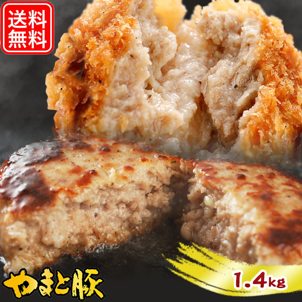 フリーデン 惣菜 【最大800円OFFクーポン】ハンバーグ メンチカツ 詰め合わせ 1.4Kg NS-AZ | 送料無料 父の日 母の日 プレゼント 食べ物 グルメ ギフト 冷凍 メンチ 冷凍食品 食品 お取り寄せグルメ お肉 内祝い お取り寄せ 美味しいもの お返し 出産 結婚 出産内祝い セット 食べ比べ 豚肉