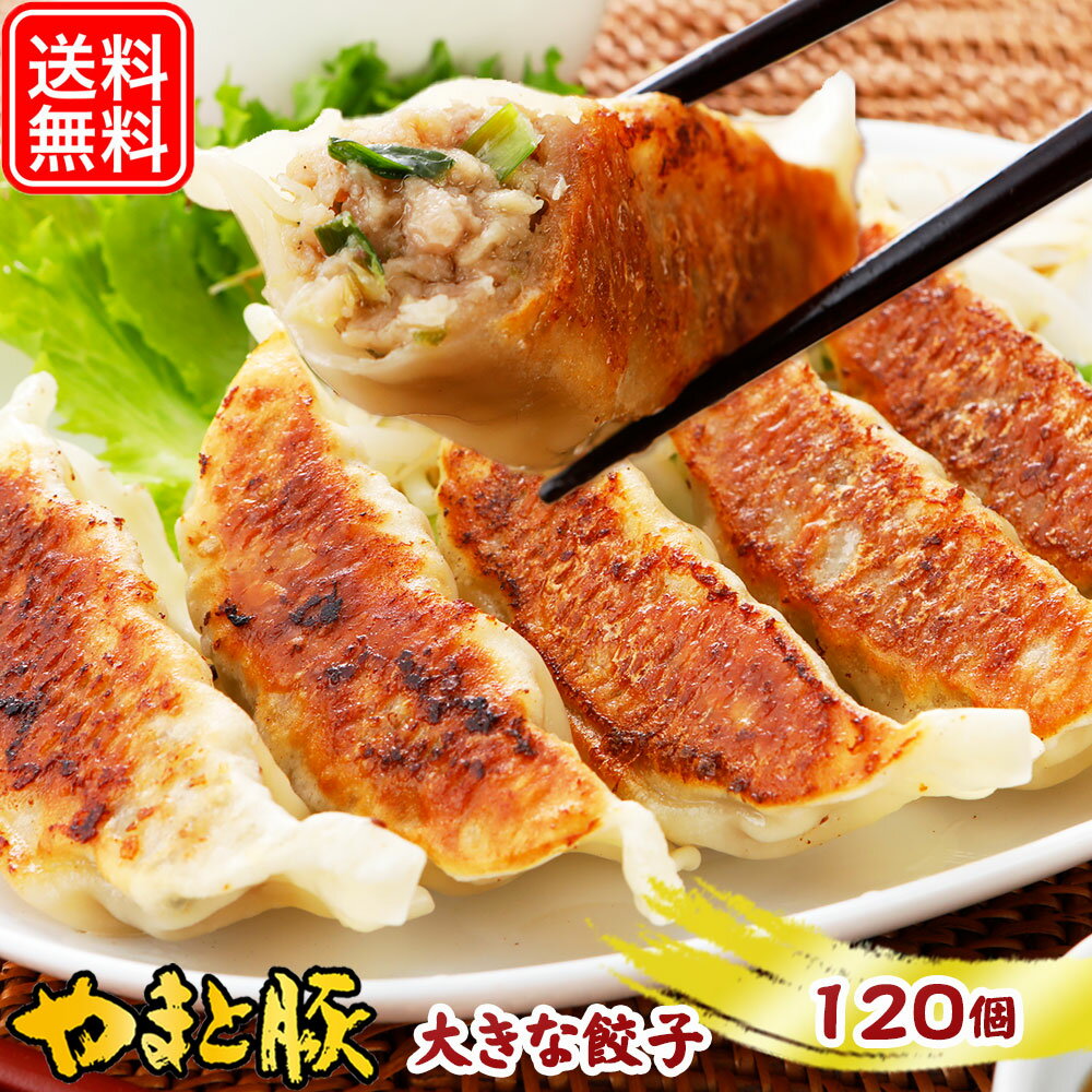 やまと豚 大きな肉餃子 120個 | 送料無料 父の日 グルメ 食べ物 お中元 御中元 食品 肉 ギフト ジャンボ餃子 ぎょうざ 冷凍餃子 ギョウザ 大きい 大きい餃子 大きな餃子 冷凍食品 肉餃子 お取り寄せグルメ お肉 お取り寄せ おつまみ 内祝い お返し 出産内祝い 美味しいもの