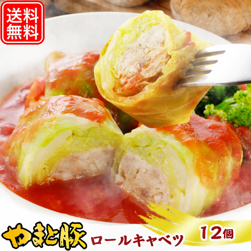 フリーデン 惣菜 【最大800円OFFクーポン】国産 ロールキャベツ トマトソース セット NS-AV | 送料無料 父の日 母の日 プレゼント 食べ物 グルメ ギフト 冷凍食品 食品 お取り寄せグルメ 内祝い お取り寄せ 冷凍 美味しい もの お返し 出産 出産内祝 惣菜 洋食 無添加 食品 おでん おでんの具