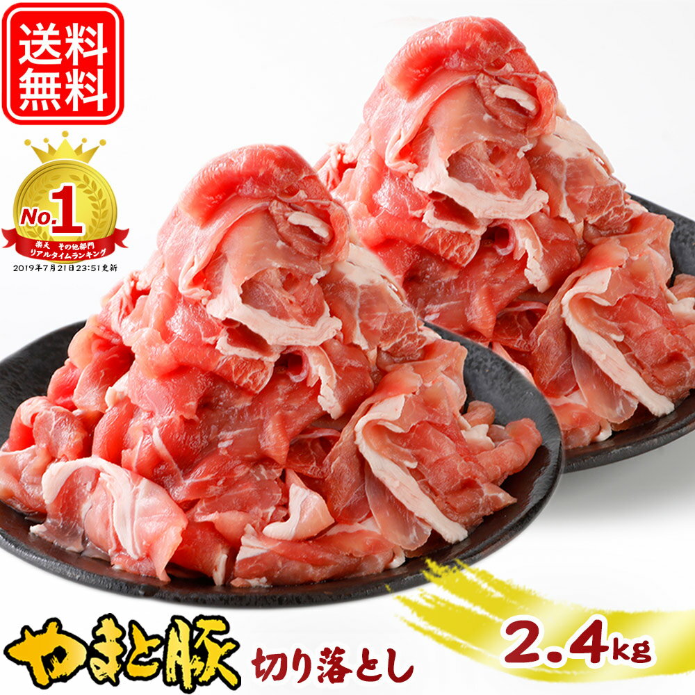 国産 やまと豚 切り落とし肉 メガ盛り 2.4Kg NS-DX | 送料無料 豚肉 父の日 グルメ 食べ物 お中元 御中元 食品 肉 ギフト 小分け 赤身 切り落とし お肉 焼肉 豚こま 豚小間 豚コマ 小間切れ 訳あり わけあり コンビニ 後払い 可能 商品 食品 後払い お取り寄せグルメ 美味