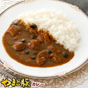 銀座やまとの やまと豚 カレー 220g | 化学調味料 無添加 常温保存 レトルト 非常食 保存食 一人暮らし 土産 常温 湯煎 温めるだけ 長期保存 日持ち ご飯のお供 レトルトカレー 食品 惣菜 やまと豚 グルメ お取り寄せ 食べ物 プレゼント 後払い コンビニ 可能 内祝い お返し