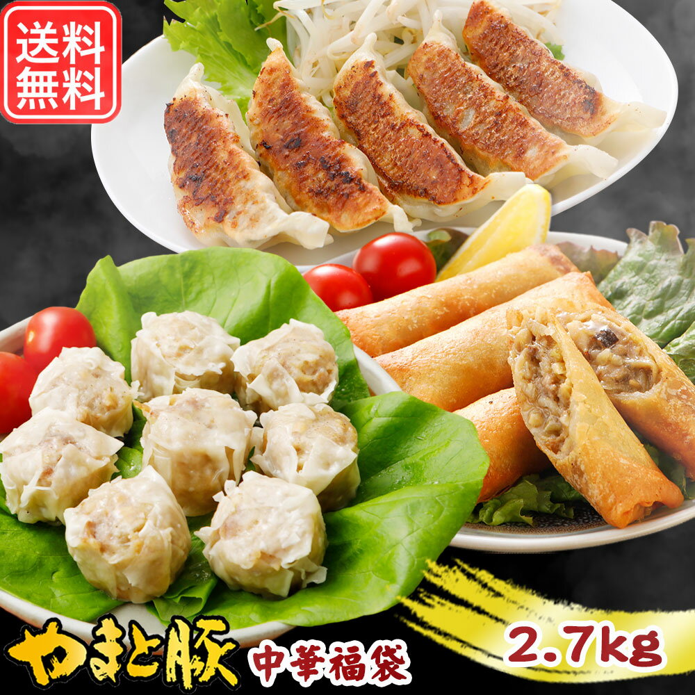 やまと豚 中華 福袋 2.7kg NS-BD | 送料無料 お歳暮 ギフト お年賀 食べ物 グルメ福袋 食品 餃子 冷凍餃子 ギョウザ ぎょうざ 春巻 春巻き 焼売 しゅうまい お取り寄せグルメ 夕飯 中華 点心 惣菜 中華惣菜 冷凍 お試し おつまみ 内祝い お返し 出産 豚肉 お肉 肉 おかず