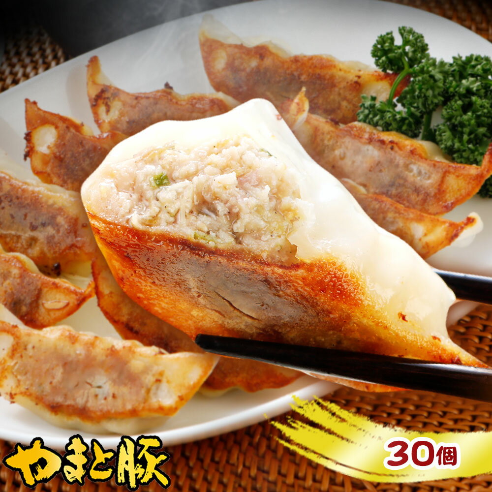 やまと豚 肉餃子 30個 | 冷凍餃子 ギ