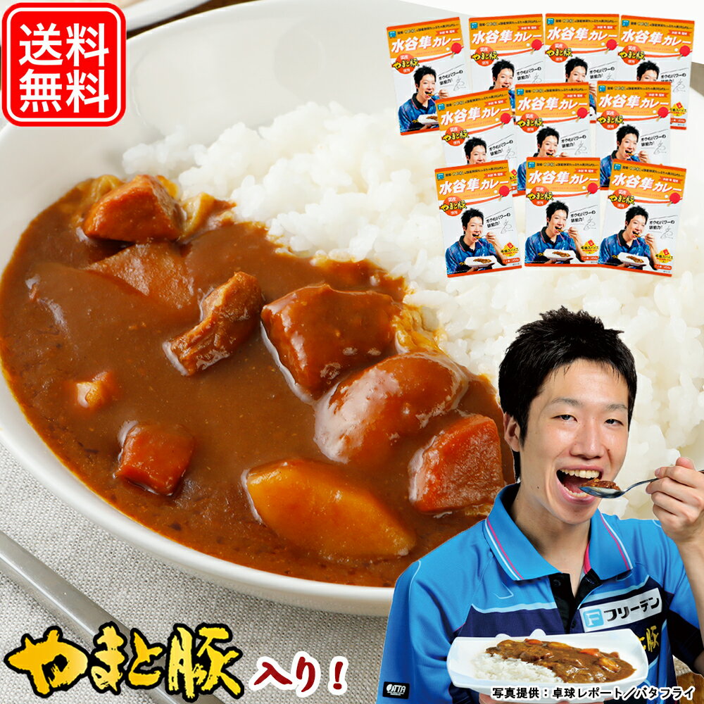 水谷隼カレー200g 10個 送料無料 レトルトカレー 高級 父の日 母の日 プレゼント 食べ物 グルメ ギフトまとめ買い 詰め合わせ 甘口 カレー 食べ物 お肉屋さんの お取り寄せグルメ 常温 ご飯のお供 食品 グルメ お取り寄せ セット 湯煎 温めるだけ 常温保存 レトルト食品