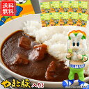 湘南ベルマーレカレー 10個セット 送料無料 レトルトカレー 高級 ギフト まとめ買い 詰め合わせ ベルマーレ 中辛 カレー 母の日 食べ物 お取り寄せグルメ 常温 ご飯のお供 食品 グルメ セット 湯煎 温めるだけ 常温保存 レトルト食品 一人暮らし 非常食 内祝い お返し