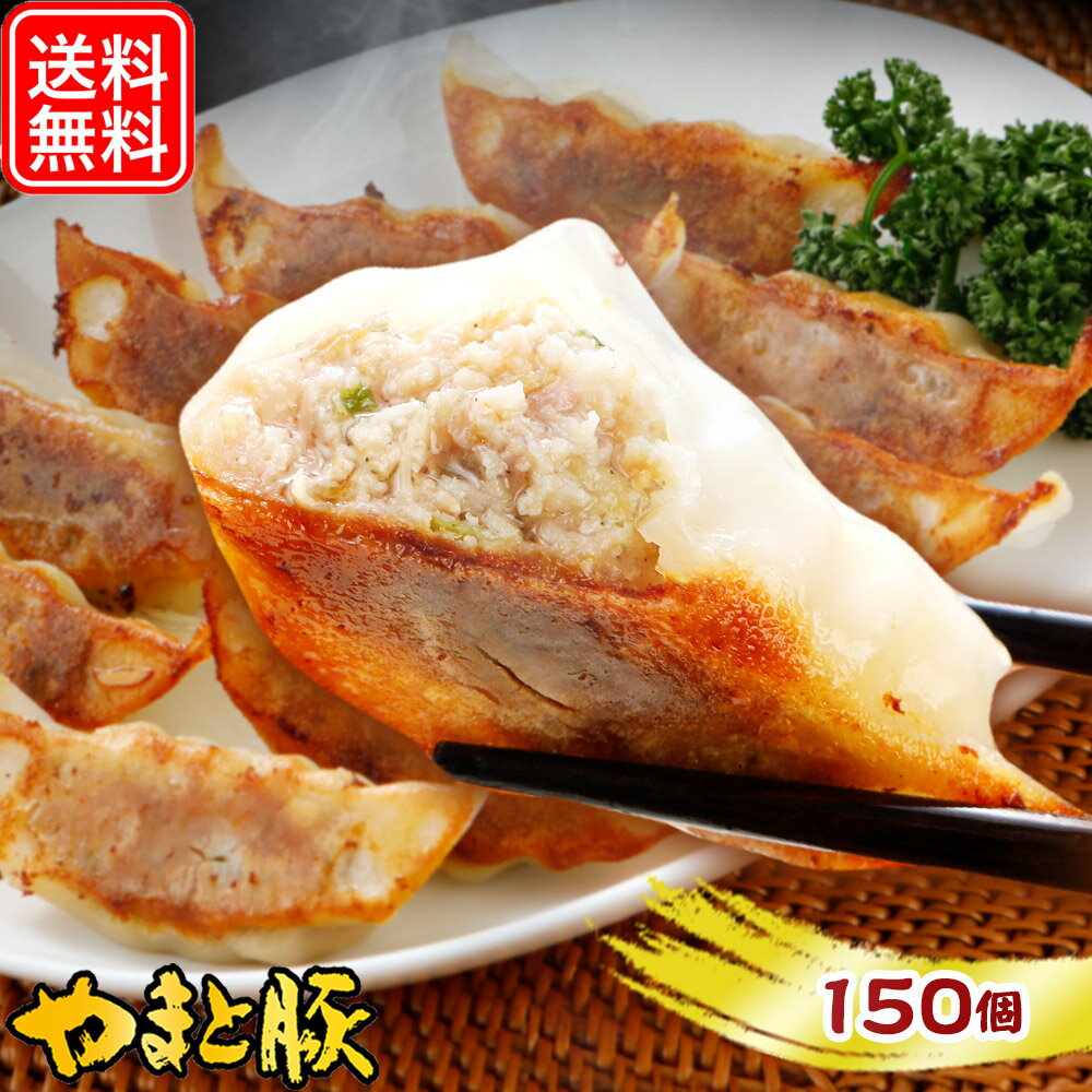 やまと豚 餃子 150個 2.7Kg NS-BQ | 送料無料 父の日 母の日 プレゼント 食べ物 グルメ ギフト ぎょうざ 冷凍餃子 ギョウザ 冷凍食品 肉餃子 食品 お取り寄せグルメ お肉 お取り寄せ おつまみ 内祝い お返し 出産内祝い 豚肉 コンビニ 後払い 可能 美味しいもの 肉 惣菜