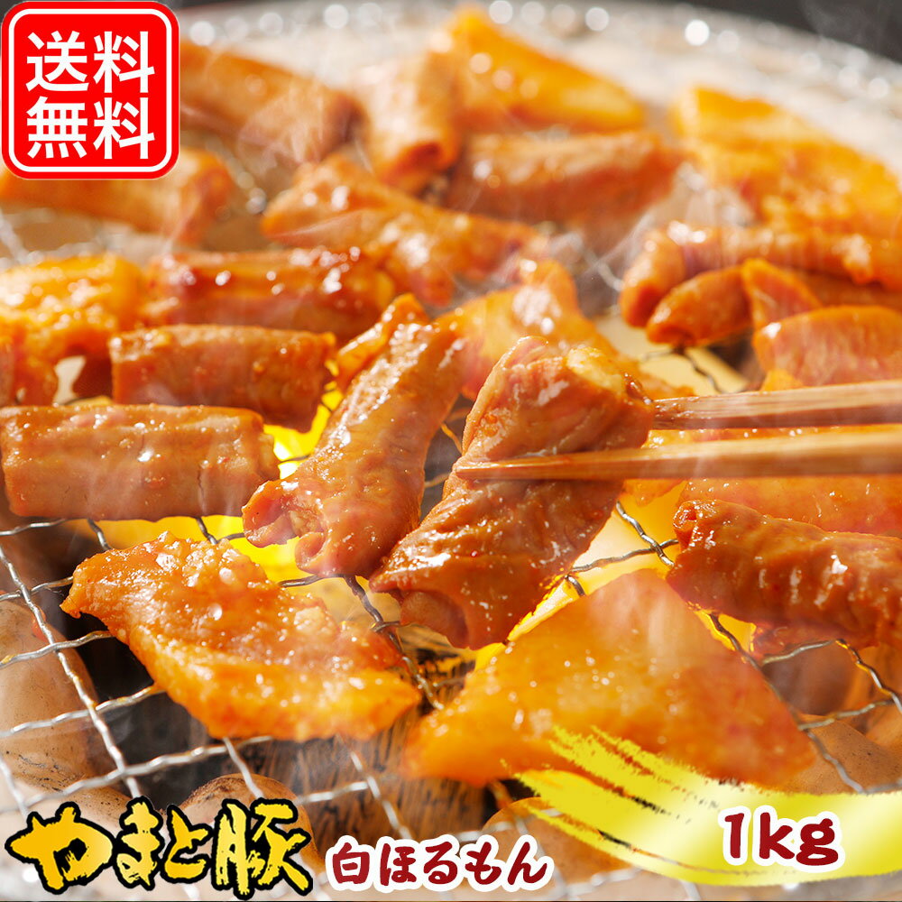 やまと豚 白ほるもん 旨味噌タレ 1kg NS-CR | 送料無料 父の日 母の日 プレゼント 食べ物 グルメ ギフ..