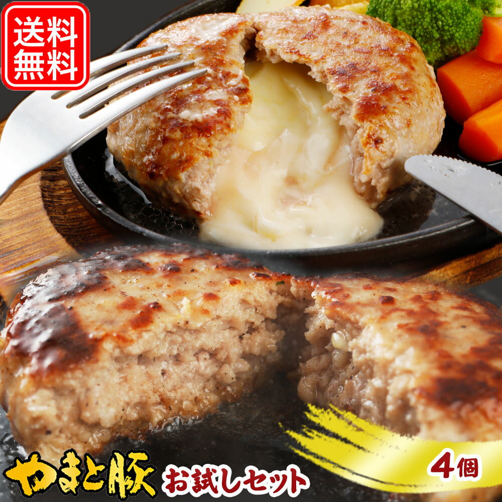 ハンバーグ お試しセット 4個入 NS-CU | 送料無料 父の日 母の日 プレゼント 食べ物 グルメ ギフト 冷凍 食品 生 チーズハンバーグ チーズインハンバーグ ポーク 内祝い お返し 出産 出産内祝…