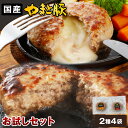 ハンバーグ お試しセット 4個入 NS-CU | 送料無料 ギフト 母の日 食べ物 冷凍 食品 生 チーズハンバーグ チーズインハンバーグ ポーク 内祝い お返し 出産 出産内祝い 詰め合わせ 冷凍食品 食…