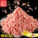 国産 やまと豚 パラパラ ひき肉 2kg NS-DJ | 送料無料 父の日 母の日 プレゼント 食べ物 グルメ ギフト 高級 挽肉 挽き肉 ミンチ 豚ミンチ 豚肉 肉 やまと 豚 ブタ お肉 訳あり 後払い 可能 商品 食品 お取り寄せ お取り寄せグルメ 内祝い お返し 出産内祝い お肉おいしい