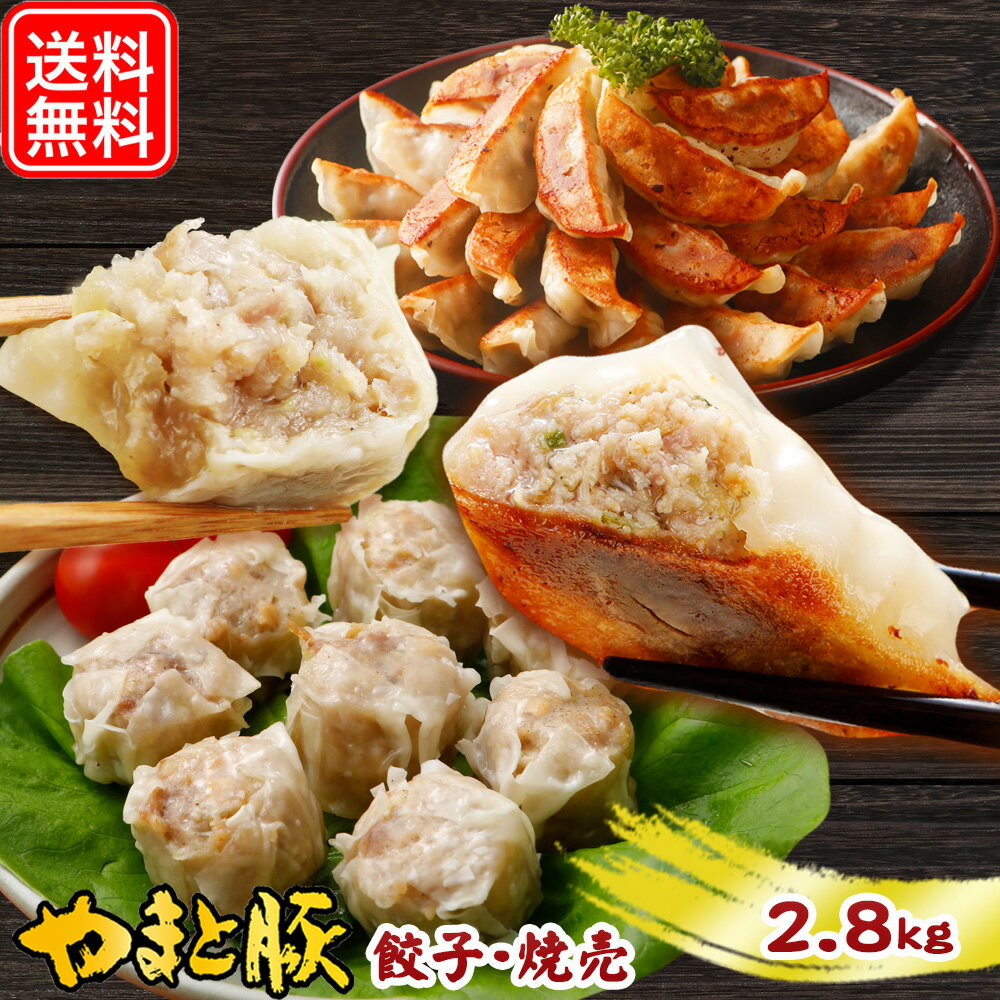 フリーデン 惣菜 【最大800円OFFクーポン】やまと豚 餃子 焼売 食べ比べセット 2.8Kg NS-DN | 送料無料 父の日 母の日 プレゼント 食べ物 グルメ ギフト しゅうまい シューマイ ぎょうざ 冷凍餃子 中華 点心 惣菜 中華惣菜 食品 冷凍食品 お取り寄せグルメ お肉 内祝 お取り寄せ 美味しいもの