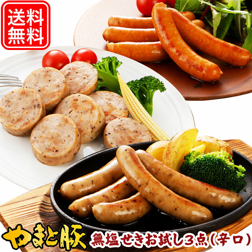 肉ギフト（3000円程度） 無塩せき ウインナー ソーセージ お試し3点セット (辛口) NS-DQ |送料無料 父の日 グルメ 食べ物 お中元 御中元 食品 肉 ギフト 無添加 ウィンナー ウインナーギフト ハムソーセージ セット 冷凍食品 食品 お取り寄せグルメ 肉 お肉 おつまみ 内祝い お返し 出産 お取り寄せ