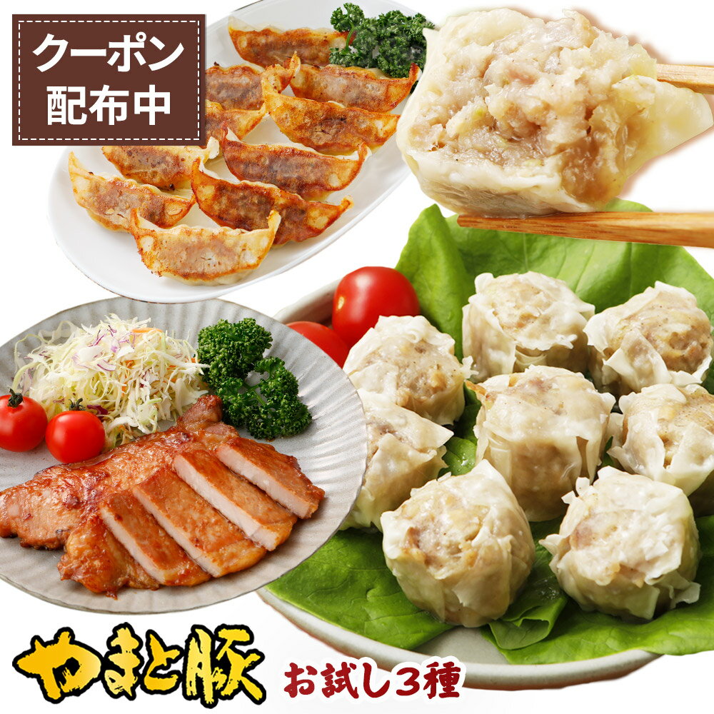 やまと豚 のトンでもないセット!!! NS-AK | 送料無料 お中元 御中元 夏 ギフト 食べ物 おつまみ 内祝い 出産 お礼 お祝い プレゼント 福袋 お取り寄せグルメ おためし お試しセット 食品 餃子 焼売 おかず お惣菜 セット ご飯のお供 詰め合わせ 冷凍 後払い 可能 商品 肉