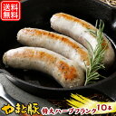 やまと豚 生フランク(ハーブ) 80g×10本 NS-DV | 送料無料 母の日 ギフト 食べ物 ソーセージ 生ソーセージ フランクフルト フランク 無添加 ウインナー ウインナーソーセージ ジャンボ 冷凍食品 食品 お取り寄せグルメ お肉 お取り寄せ 冷凍 グルメ 内祝い お返し 出産