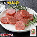 やまと豚 極厚サラミ 80g | サラミ ソーセージ スライス スナック 常温保存 ギフト 食品 内祝い グルメ おつまみ 肉 つまみ カルパス お取り寄せ 食...