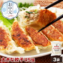 【ポイント5倍】やまと豚 大きな肉餃子 45個入 ss | 送料無料 お中元 早割 御中元 ギフト 夏ギフト 食べ物 詰め合わせ グルメ 肉 惣菜 ジャンボ餃子...