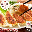 やまと豚 大きな肉餃子 45個入 ss | 送料無料 お中元 夏ギフト 敬老の日 ギフト 食べ物 プレゼント 残暑見舞い グルメ 肉 惣菜 ジャンボ餃子 ぎょうざ 冷凍餃子 ギョウザ 大きい 大きい餃子 大きな餃子 冷凍食品 肉餃子 お取り寄せグルメ お取り寄せ つまみ お返し 豚肉 美味