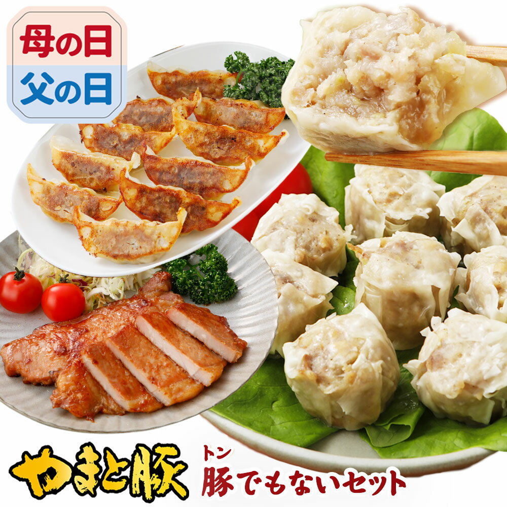 肉ギフト（3000円程度） やまと豚 のトンでもないセット!!! NS-AK ss | 送料無料 父の日 グルメ 食べ物 お中元 御中元 肉 ギフト 福袋 2024 食品 餃子 焼売 おかず お惣菜 セット 冷凍食品 お取り寄せグルメ お肉 お取り寄せ 冷凍 美味しいもの おためし お試しセット 詰め合わせ 後払い おいしい