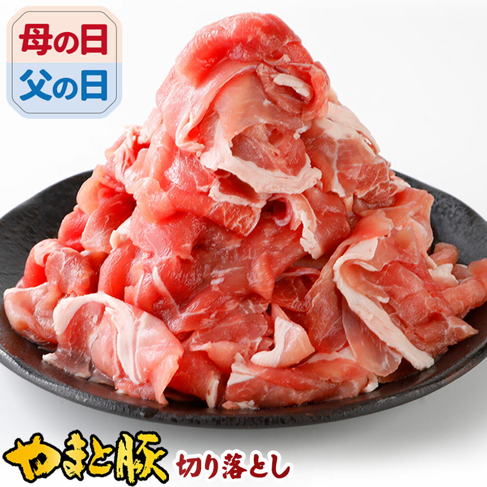 国産 やまと豚 切り落とし肉 メガ盛り 1.2Kg NS-DY ss | 送料無料 父の日 グルメ 食べ物 お中元 御中元 食品 肉 ギフト 小分け 切り落とし 肉 お肉 焼肉 豚こま 豚小間 豚コマ 小間切れ 訳あり わけあり コンビニ 後払い 可能 商品 冷凍 お取り寄せ 美味しい 内祝い お返し