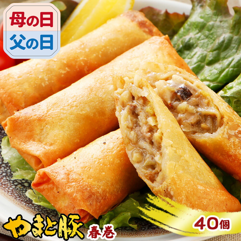 やまと豚 肉春巻 40本 ss | 送料無料 父の日 母の日 プレゼント 食べ物 グルメ ギフト 春巻 春巻き はるまき 冷凍 業務用 中華 中華惣菜 食品 おつまみ 冷凍食品 お取り寄せグルメ 夕飯 内祝い お取り寄せ 美味しいもの お返し 出産 結婚 贈答 出産内祝い 冷凍 美味しい もの