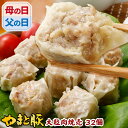 やまと豚大粒肉焼売240g*4袋セット(32