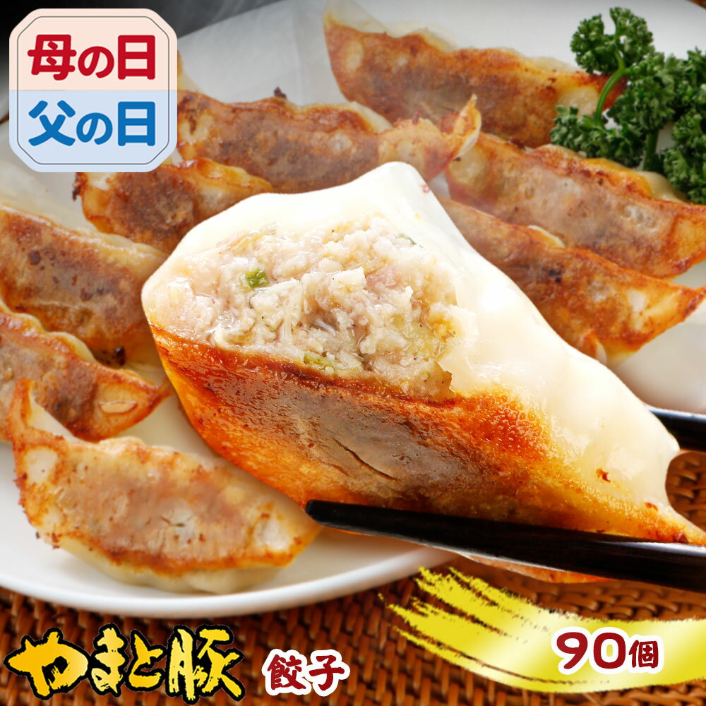 【最大800円OFFクーポン】やまと豚 餃子 90個 1.6Kg NS-AP ss | 送料無料 父の日 母の日 プレゼント 食べ物 グルメ ギフト ぎょうざ 冷凍餃子 ギョウザ 冷凍食品 肉餃子 食品 お取り寄せグルメ お肉 お取り寄せ おつまみ 内祝い お返し 豚肉 コンビニ 後払い 美味しいもの