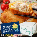 やまと豚 コロッケ 15個 NS-AM ss | 送料無料 父の日 早割 肉 プレゼント 食品 ギフト 食べ物 グルメ おつまみ 惣菜 冷凍 冷凍コロッケ 冷凍...