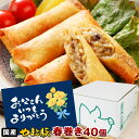 やまと豚 肉春巻 40本 ss | 送料無料 父の日 早割 肉 プレゼント 食品 ギフト 食べ物 グルメ おつまみ 惣菜 春巻 春巻き はるまき 冷凍 業務用 ...