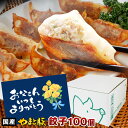 やまと豚 餃子 180個 3.2Kg NS-AQ ss |送料無料 父の日 早割 肉 プレゼント 食品 ギフト 食べ物 グルメ おつまみ 惣菜 ぎょうざ 冷凍餃...