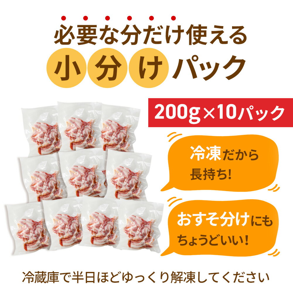 ������ ��ޤ��� �١����� �ڤ���Ȥ� 2kg NS-CV | ���� ���࿩�� �߸˽�ʬ ���å� �� �� �����꾦�� �辰���� ���� �����ȥ�å� ���ʥ��� ���ե� ��ʧ�� ��ǽ �����󤻥���� �ᥬ���� ���� �Х��� �ڥХ� �����ڤ� ü�ä� ����� ��̳�� ���� �ڤ���Ȥ��١�����