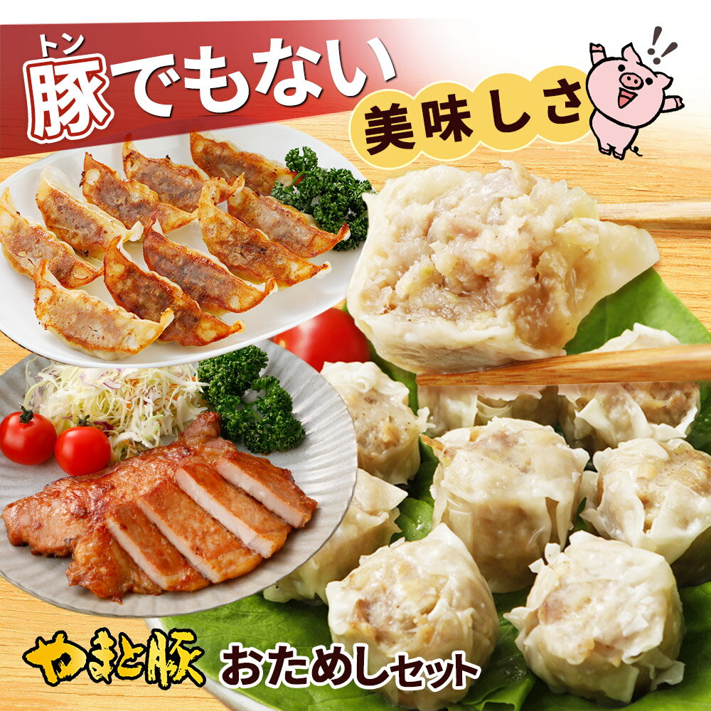 やまと豚 のトンでもないセット!!! NS-AK | 送料無料 敬老の日 残暑見舞い 健康 ギフト プレゼント 福袋 お取り寄せグルメ 食品 おためし お試しセット 餃子 焼売 おかず お惣菜 セット ご飯のお供 おつまみ 詰め合わせ 冷凍 後払い 可能 商品 肉 お肉 内祝い お返し 出産