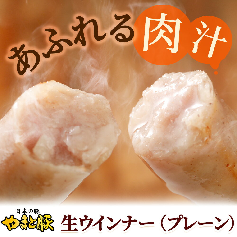 送料無料 ソーセージ ハム 贈り物 お礼 美味しい もの 食品 内祝い 出産 お返し 出産内祝い 結婚 簡単調理 お土産 土産 手土産 神奈川 食べ比べ ブランド おつまみ 豚肉 世界有名な アレルゲンフリー 早割 無添加 プレーン ウインナーソーセージ 生ウインナー ウィンナー