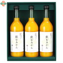 フルーツジュース 早和果樹園 有田みかんジュース【母の日 飲むみかん】3本セット （W3-B）【母の日 100％ストレートみかんジュース フルーツジュース みかんジュレ ゼリー 高級 瓶詰 飲料 ギフト 果物 有田みかん 御礼 内祝 お返し 贈り物 健康飲料 健康食品 国産 果汁100%】＜B4＞