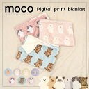 【公式】★MOCO ふわふわナキャラクターのボア付きブランケット★フレンズヒル ひざ掛け 暖かい オフィス 保育園 お昼寝 ベビーカー 猫 ネコ 茶トラ くま ...